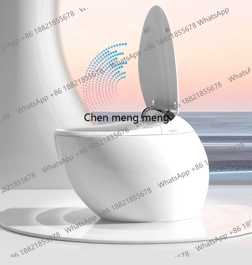 Latest Smart Toilet Model-Rada - огляд і ціна P & C Home Textiles Usa