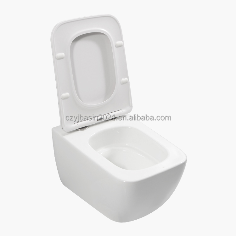 Toilet,Standard Toilet Bowl Se - огляд і ціна P & C Home Textiles Usa