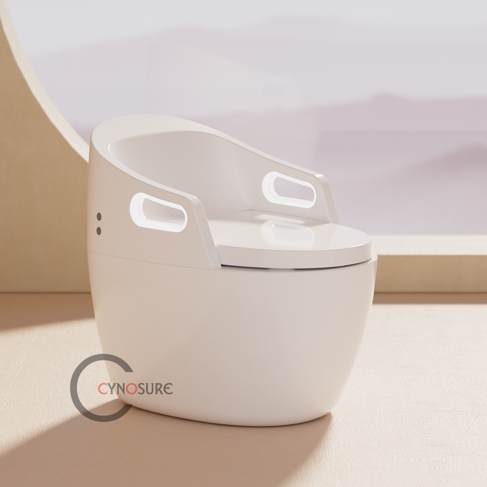 Toilet,New Design Massage Func - огляд і ціна P & C Home Textiles Usa
