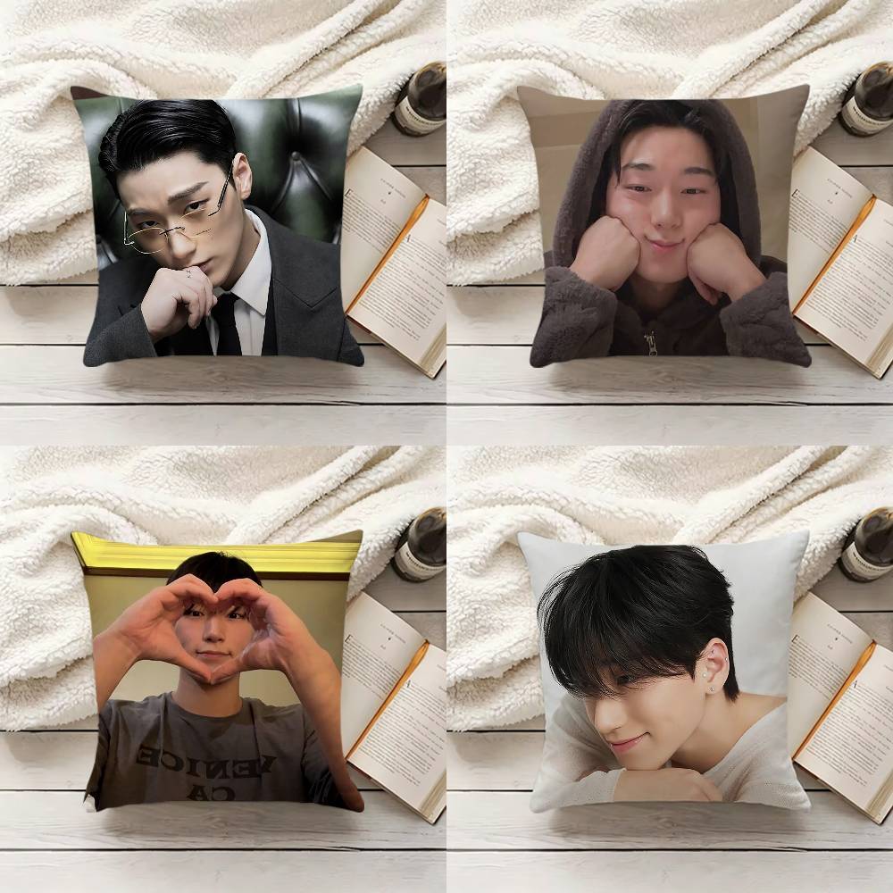 C-Choi S-San Pillow Cover Sofa - огляд і ціна Home.Textiles Cushion