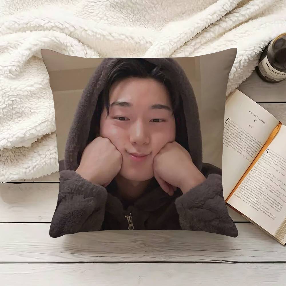 C-Choi S-San Pillow Cover Sofa - огляд і ціна Home.Textiles Cushion